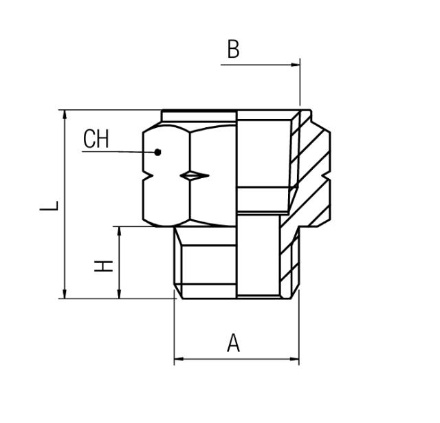 Adattatore Nipplo NPT - BSPP