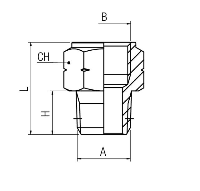 Adattatore Nipplo BSPP - NPT
